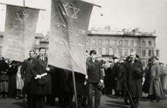 Евреи в полях революции